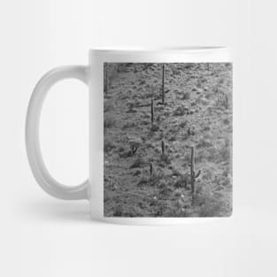 Saguaro Cacti Organ Pipe Cactus National Monument Mug